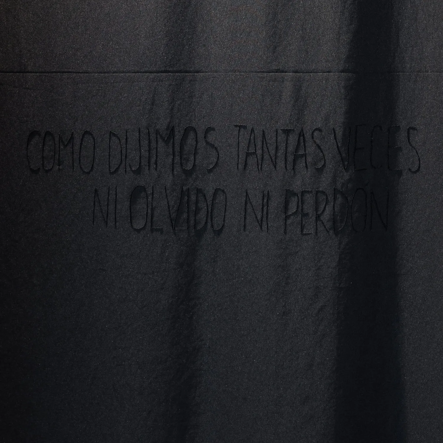 ¿Dónde caen los olivos?, Soledad Sánchez Goldar (2025) — imagen 4