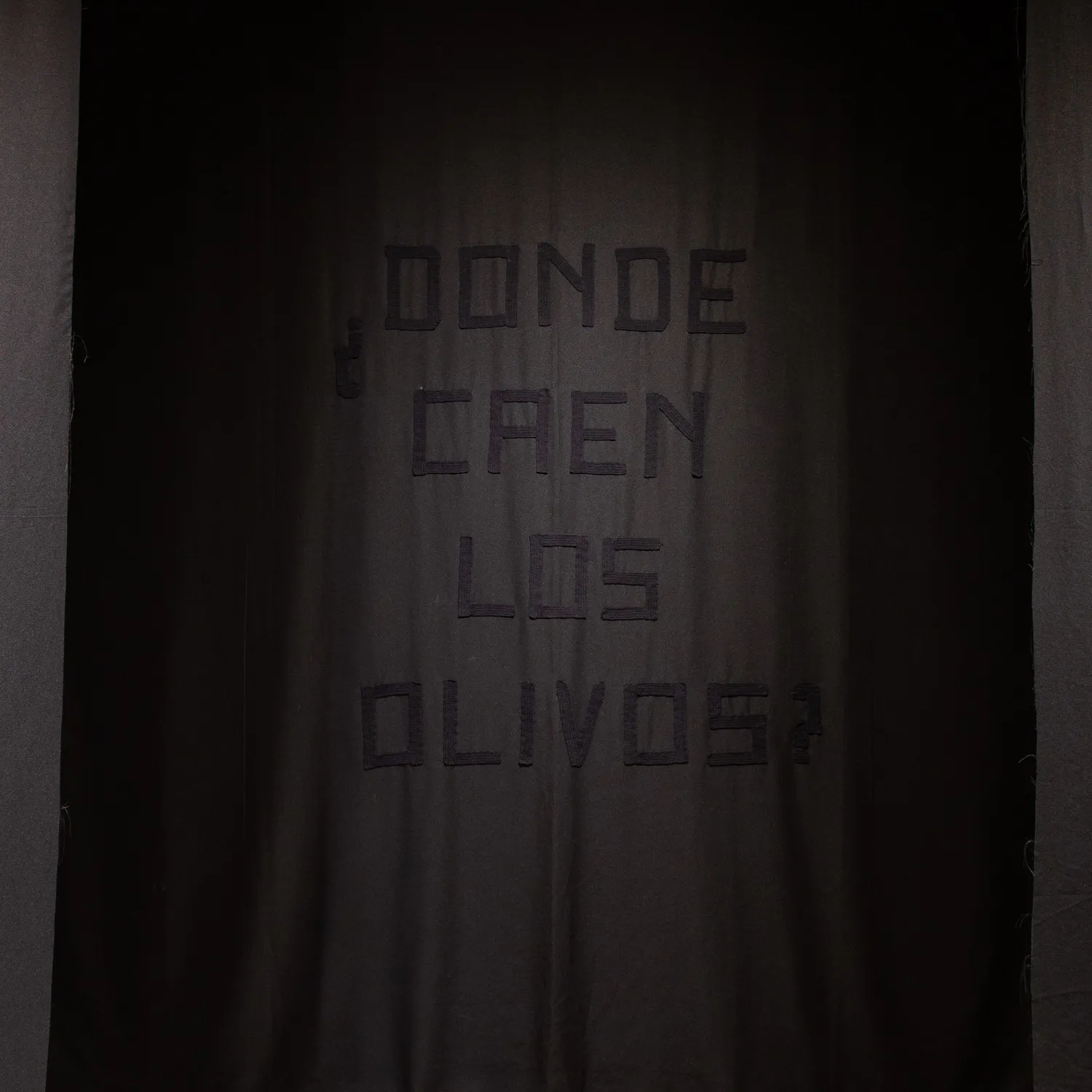 ¿Dónde caen los olivos?, Soledad Sánchez Goldar (2025) — imagen 8